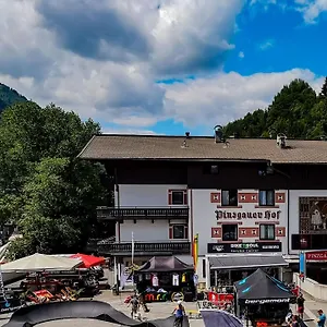 Отель Pinzgauerhof - Inclusive Evening Dinner, Зальбах-Хинтерглемм